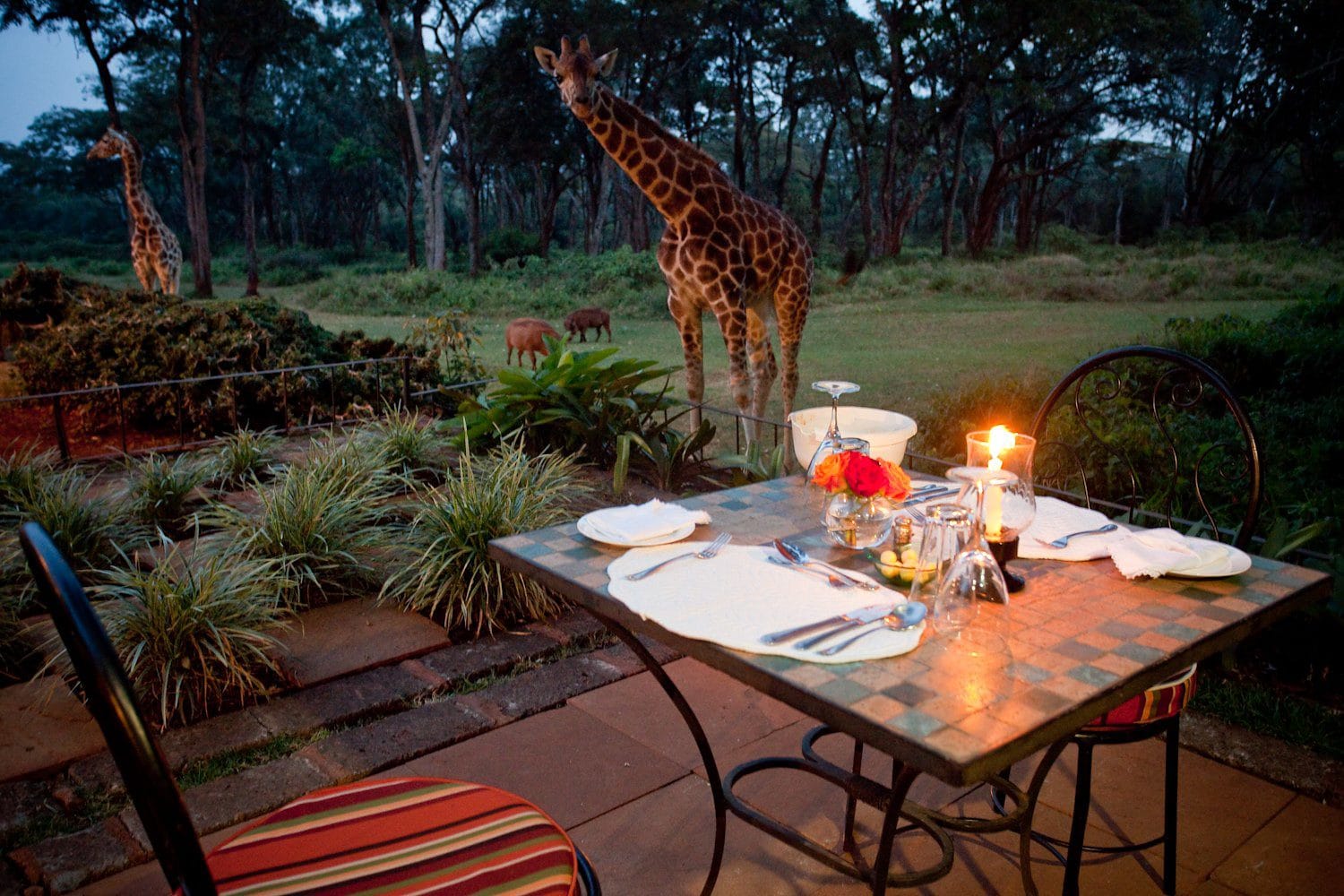 Planning a Luxury East African Safari