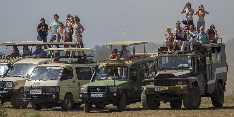 Family-Friendly Wildebeest Great Migration Safari Packages: Creating Memorable Adventures