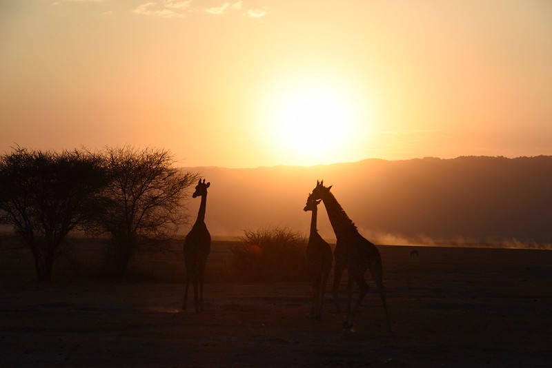 Tanzania Travel Advice and Tips