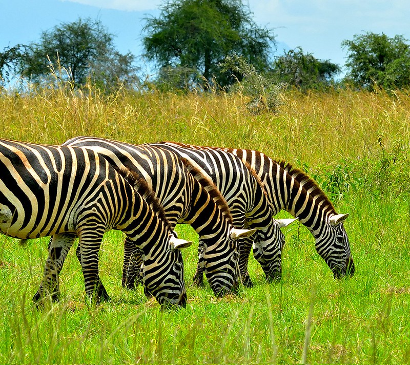The Gates Of Kidepo Valley National Park