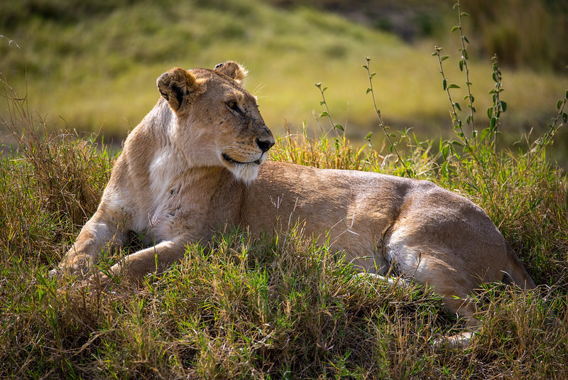 Off the Beaten Path: Hidden Gems of Kenya's National Parks