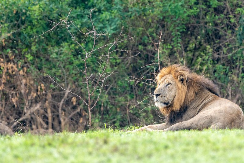 Things to Do & See in Queen Elizabeth National Park