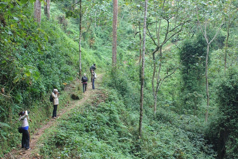 Best attractions in Rwanda. Group Tour Volcanoes Park