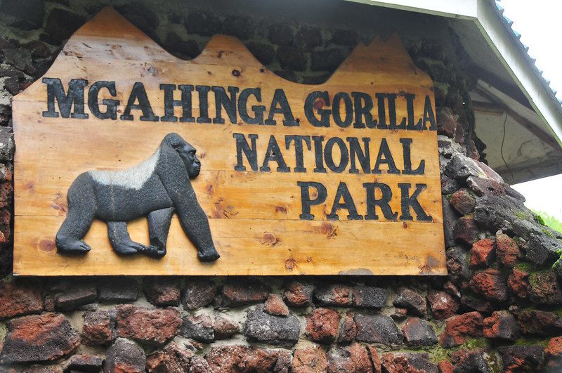 What is Mgahinga Gorilla National Park Famous For