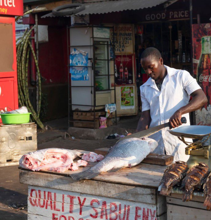 Fresh Nile Perch displayed on a market stall in Uganda, ready for sale to local customers and vendors.