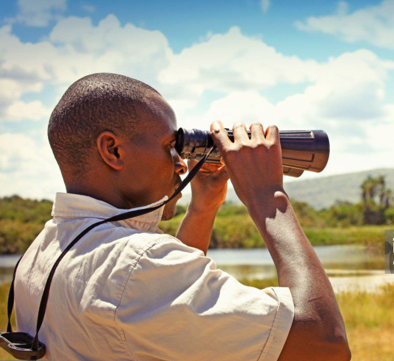 Experienced Rwanda tour guide leading a group through lush greenery in a national park.