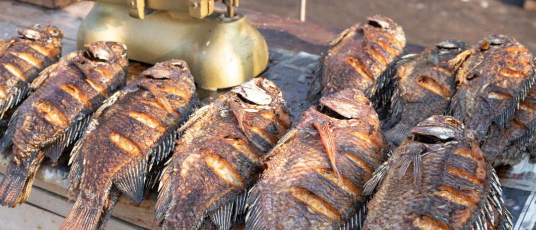 Flying fish gliding over the waters of East Africa's coastline, showcasing its unique aerial ability.