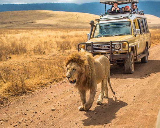 Christmas Group Travel Packages in Tanzania