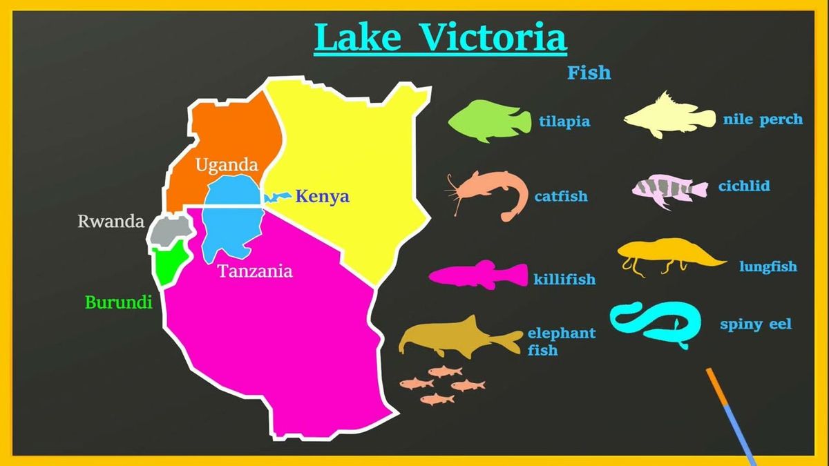 Fishing Group Tours on Lake Victoria & Other African Lakes