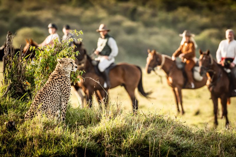 Horseback Riding Group Safaris