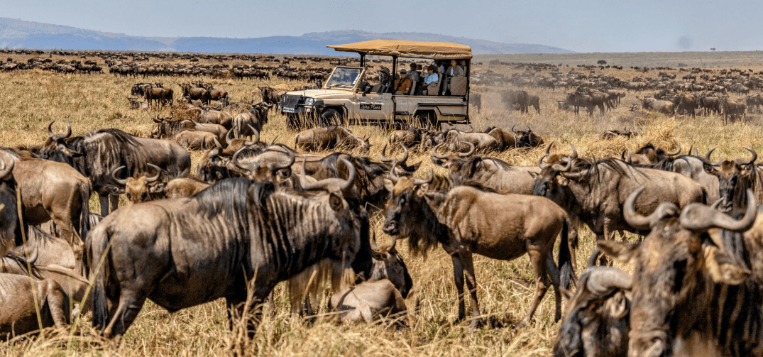 Tailor-made Group Travel to Masai Mara