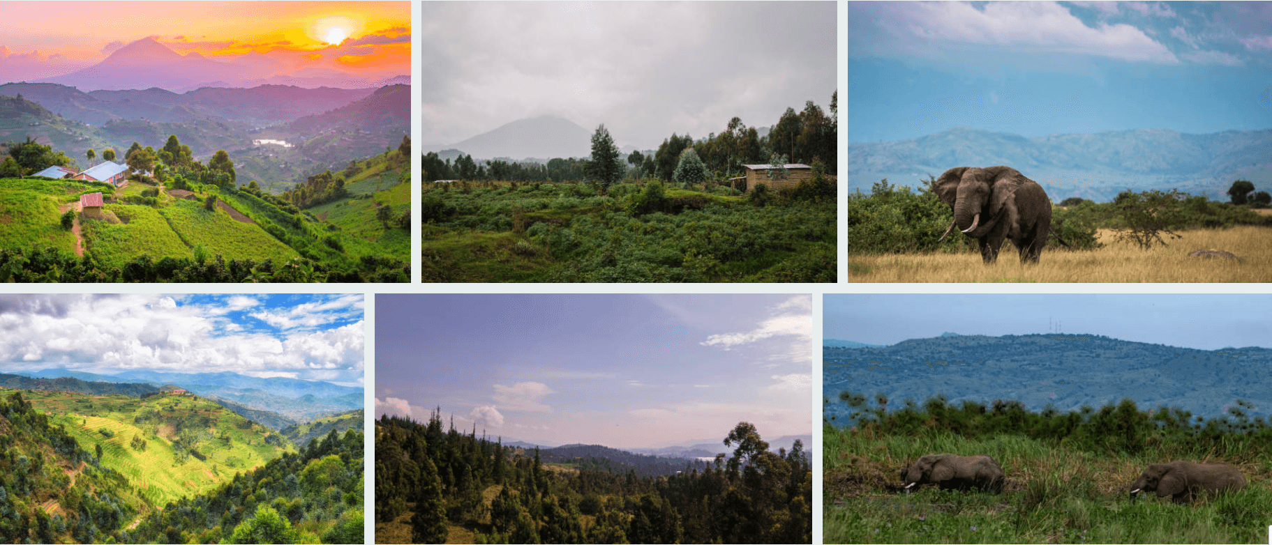 Rwanda Safari Guide – Top Destinations 1