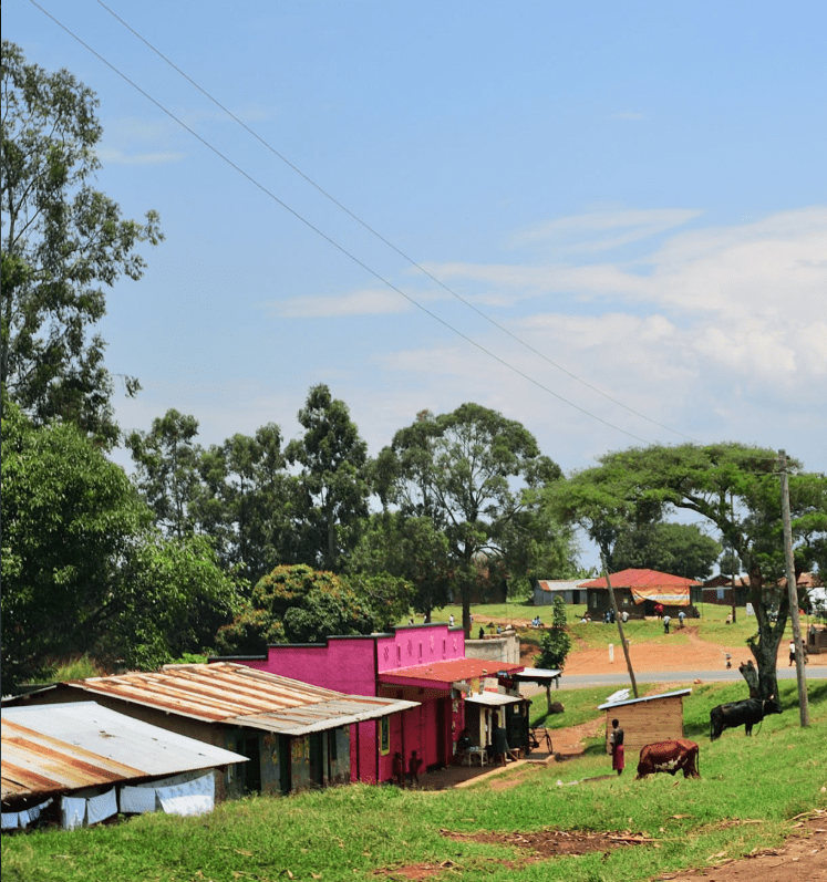 Uganda Solo Travel – Tips & Itineraries: An Inspiring Adventure into the Pearl of Africa