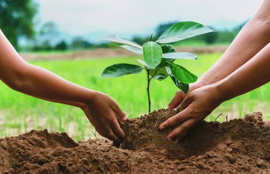 Climate Change Action E1751142518759