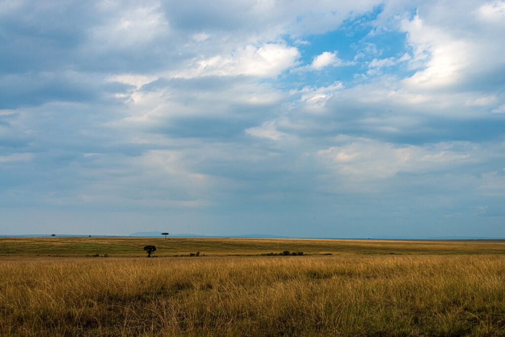 Open savanna grassland under a wide sky in the Maasai Mara, Kenya