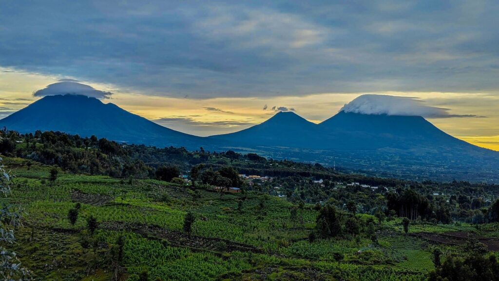 Virunga volcanoes at sunrise above farmland in northern Rwanda